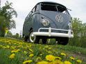 1959 VW Double Door Panel Van Front
