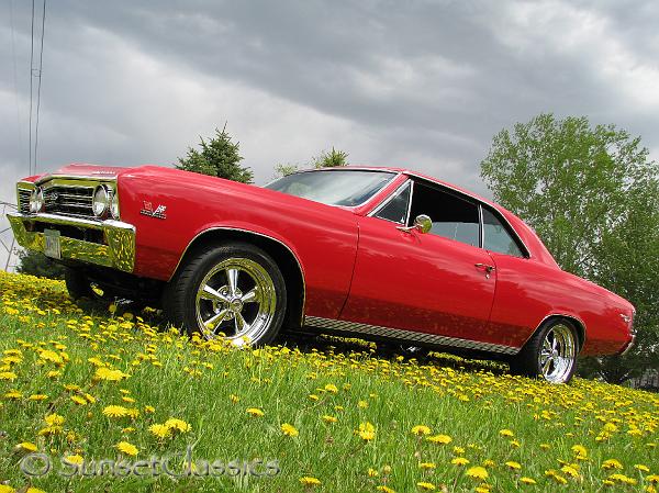 1967-chevelle-ss916.jpg