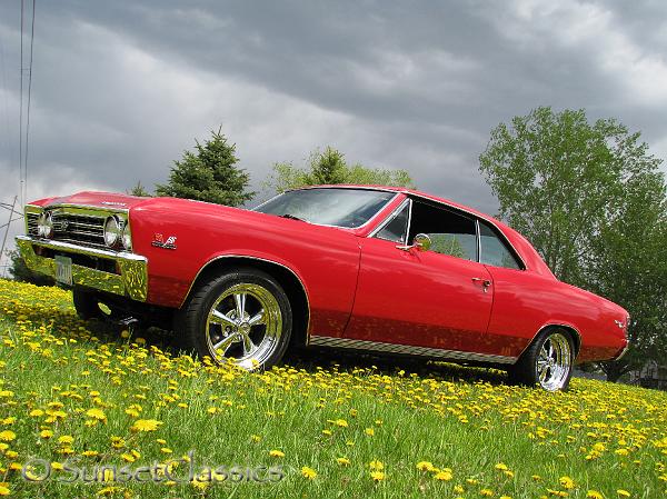 1967-chevelle-ss917.jpg