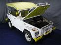 1973 2-Door Acapulco VW Thing