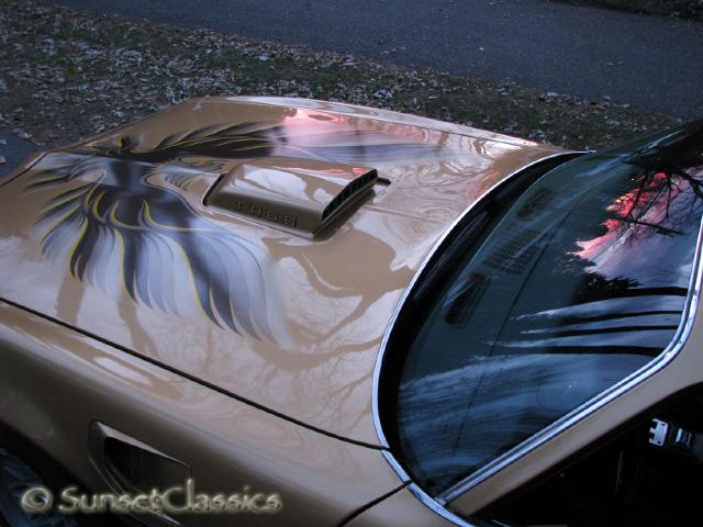 1978-pontiac-trans-am-255.jpg