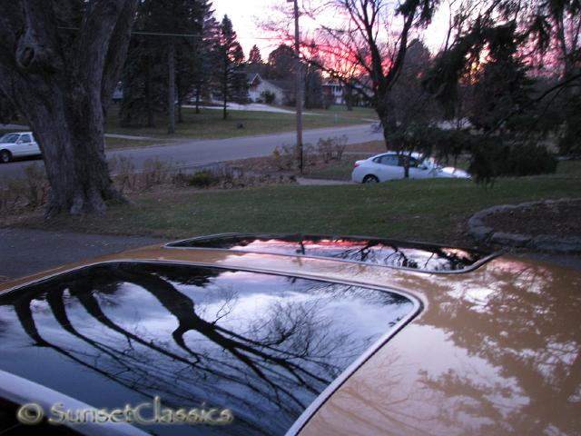 1978-pontiac-trans-am-256.jpg