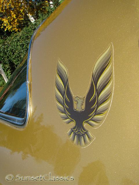 1978-pontiac-trans-am-427.jpg