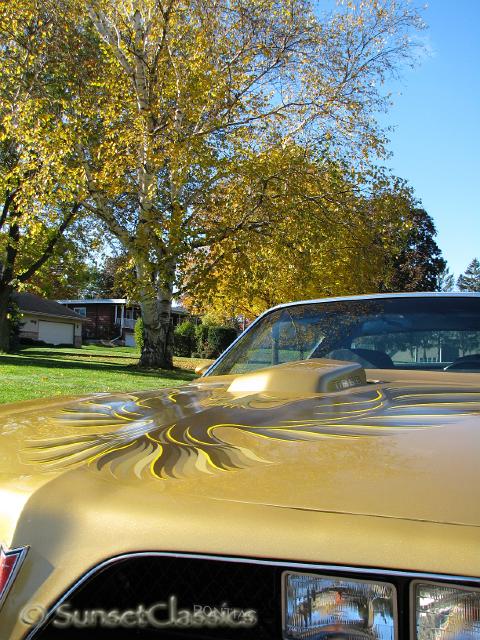1978-pontiac-trans-am-462.jpg