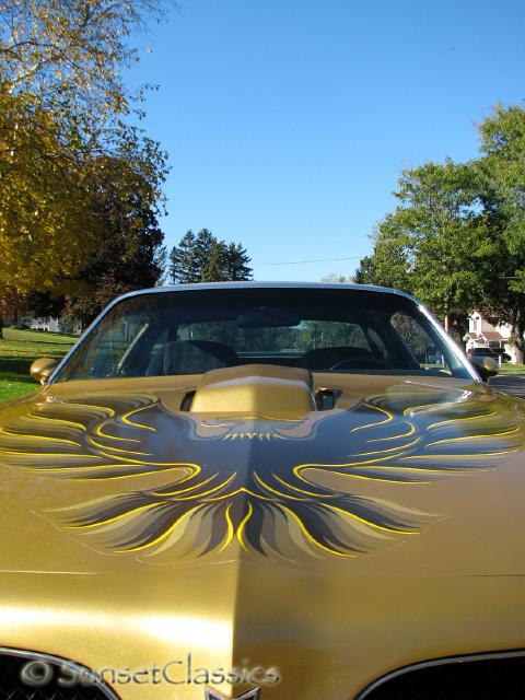 1978-pontiac-trans-am-463.jpg