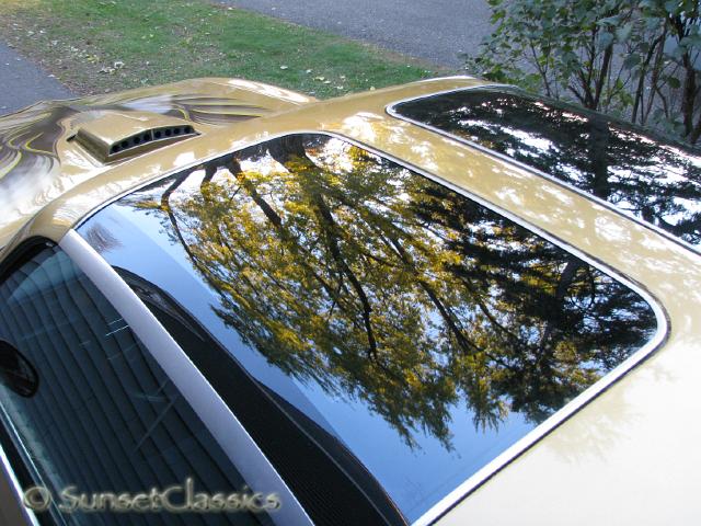 1978-pontiac-trans-am-503.jpg