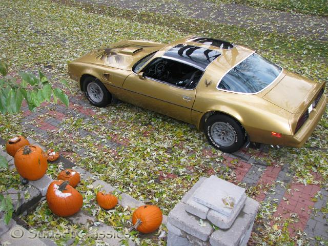 1978-pontiac-trans-am-728.jpg