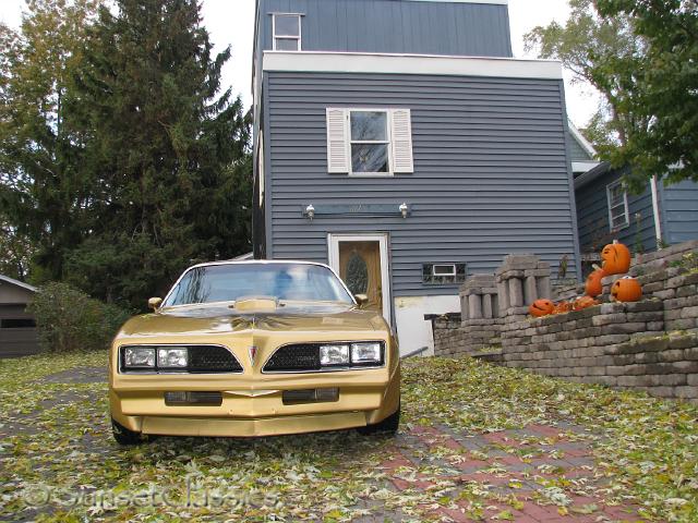 1978-pontiac-trans-am-736.jpg