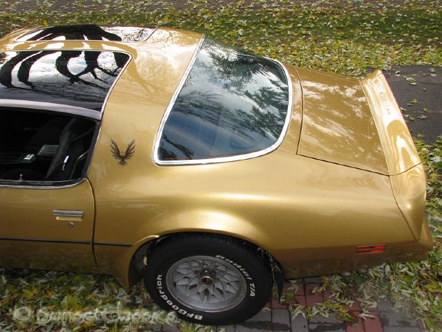1978-pontiac-trans-am-743.jpg