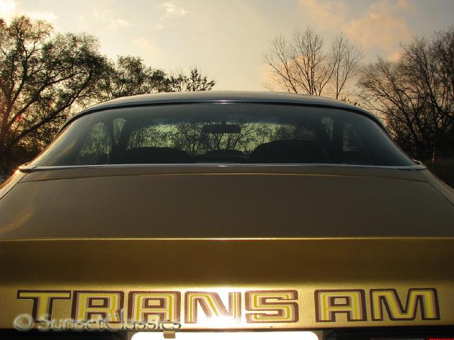 1978-pontiac-trans-am-781.jpg